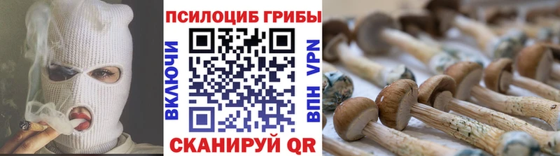 Галлюциногенные грибы Psilocybine cubensis  кракен рабочий сайт  Урай 